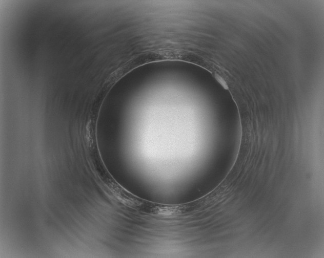 X0000075410088200610062008