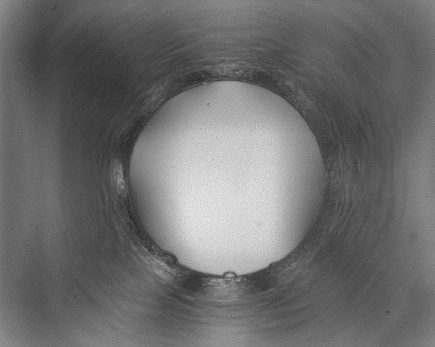 X0000075410089200610062008