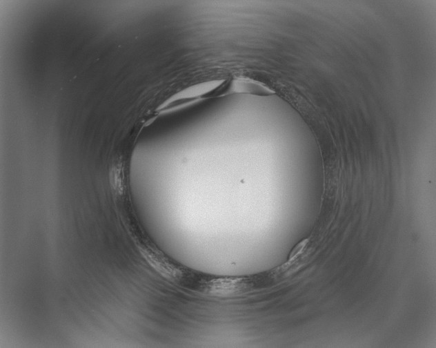 X0000075410090200610062008