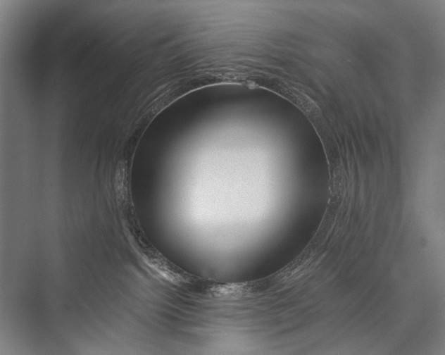 X0000075410092200610062008