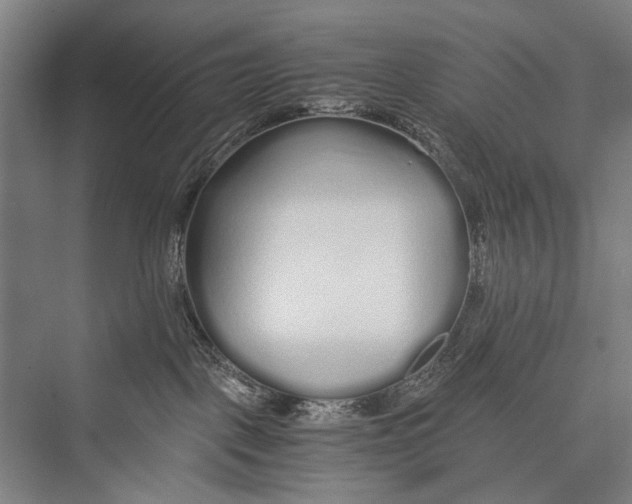 X0000075410093200610062009