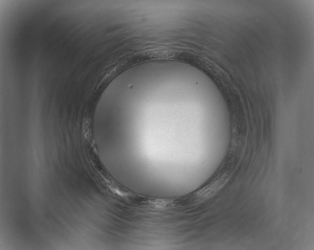 X0000075410096200610062009