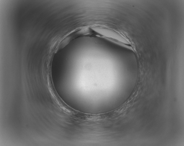 X0000075410097200610062008