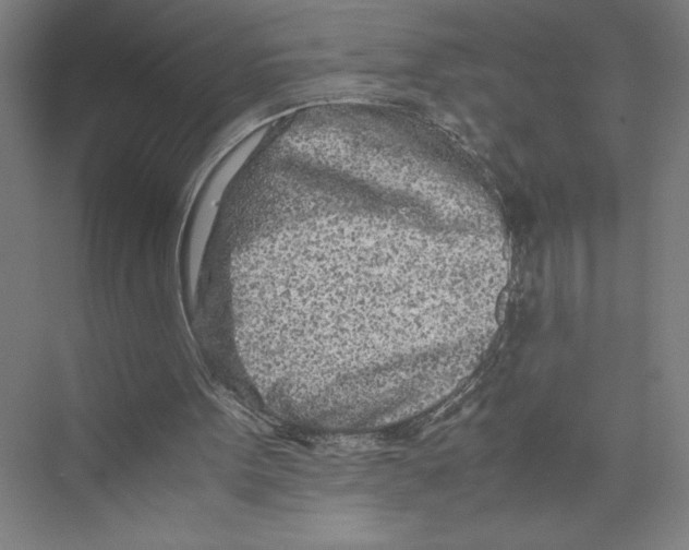 X0000075410099200610062008