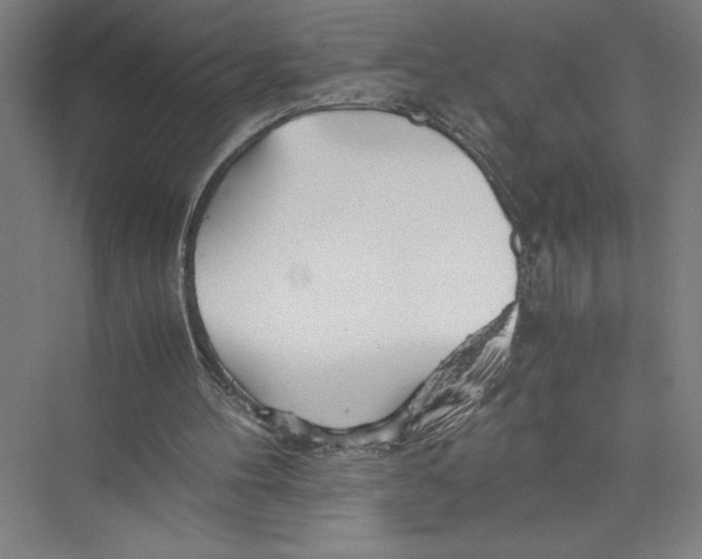 X0000075410100200610062008