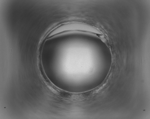 X0000075410101200610062008