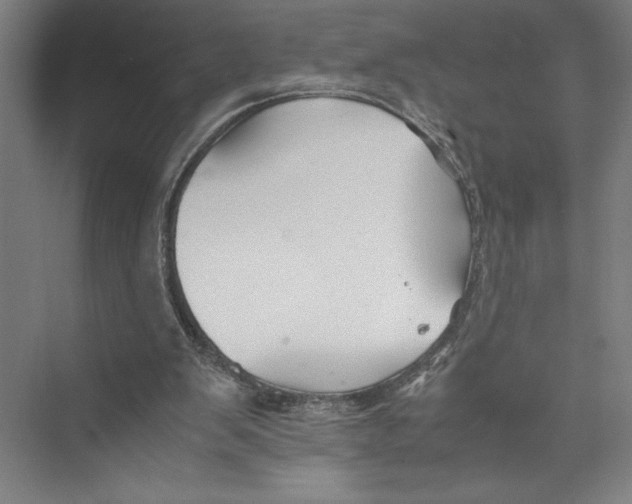 X0000075410103200610062008