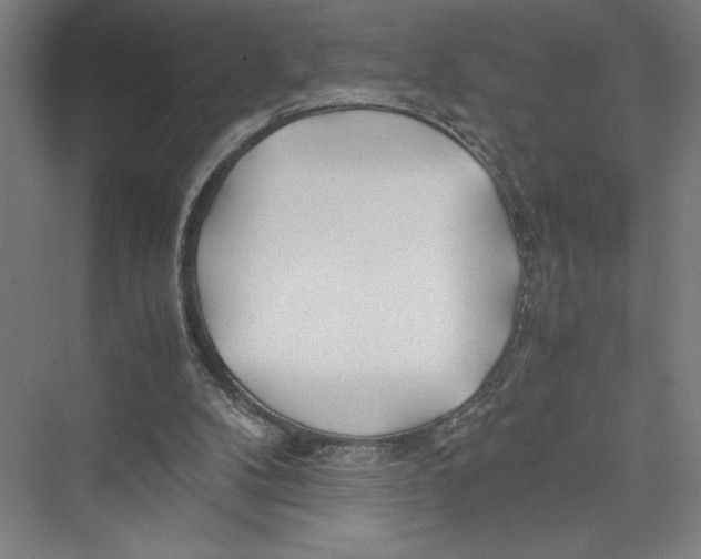 X0000075410104200610062008