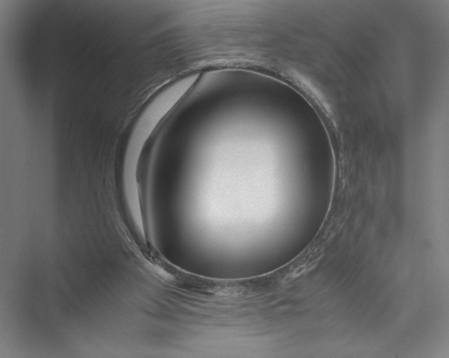 X0000075410105200610062008