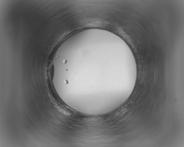 X0000075410106200610062008