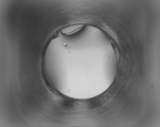 X0000075410107200610062008