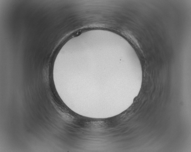 X0000075410108200610062008