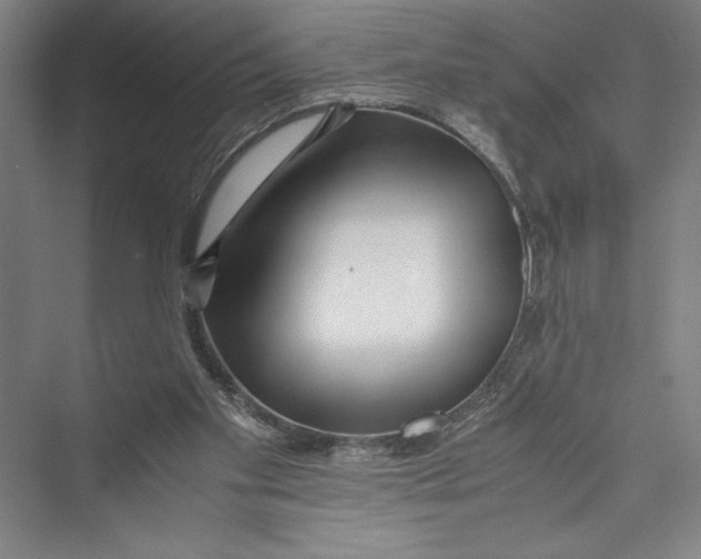 X0000075410109200610062008