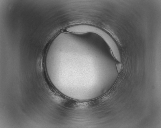 X0000075410110200610062008