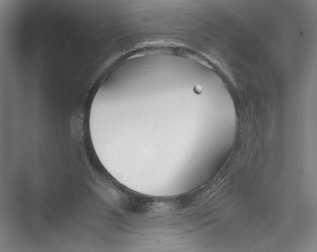 X0000075410111200610062008