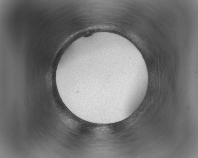 X0000075410112200610062008