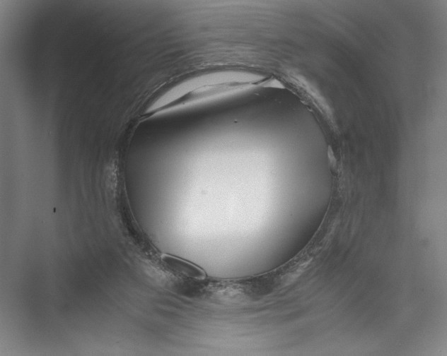 X0000075410113200610062007