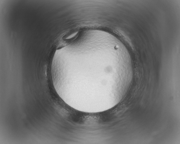 X0000075410115200610062007