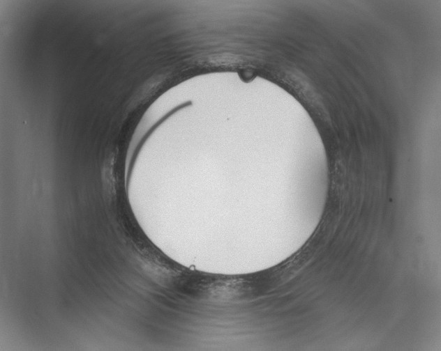 X0000075410116200610062007