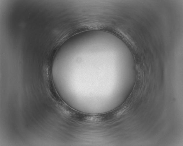 X0000075410117200610062007