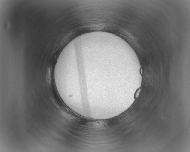 X0000075410118200610062007