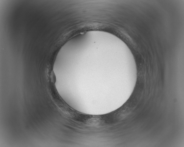 X0000075410119200610062007