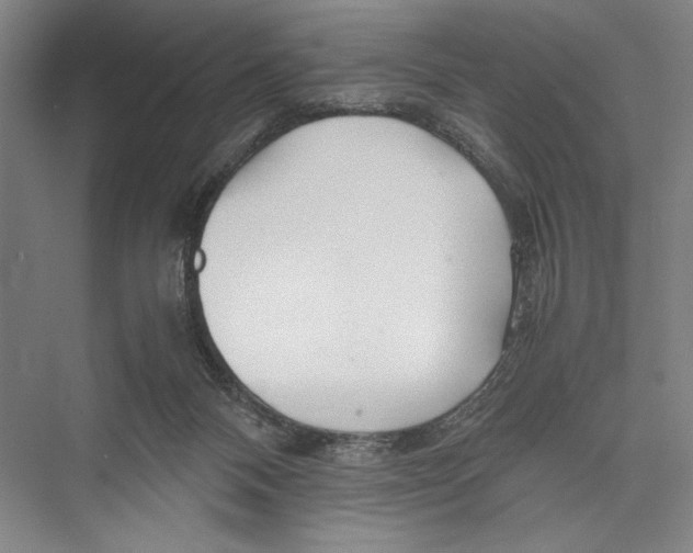 X0000075410120200610062007