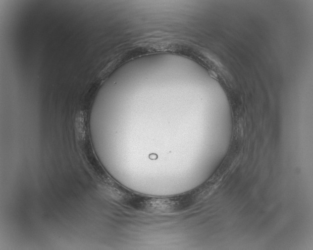 X0000075410121200610062007