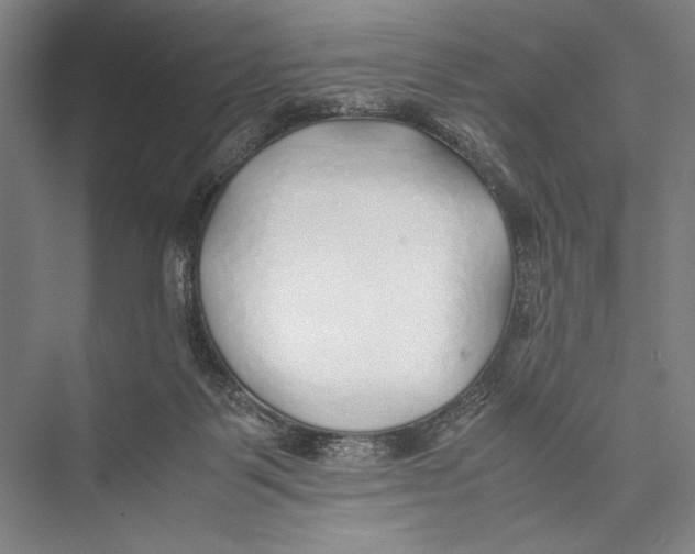 X0000075410123200610062007