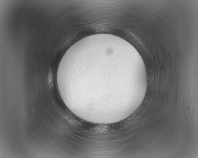 X0000075410124200610062007