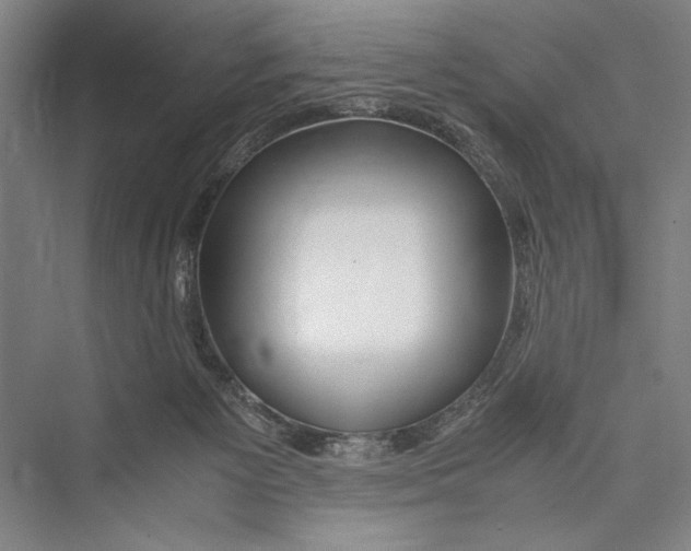 X0000075410125200610062007