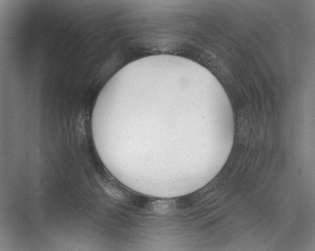 X0000075410126200610062007