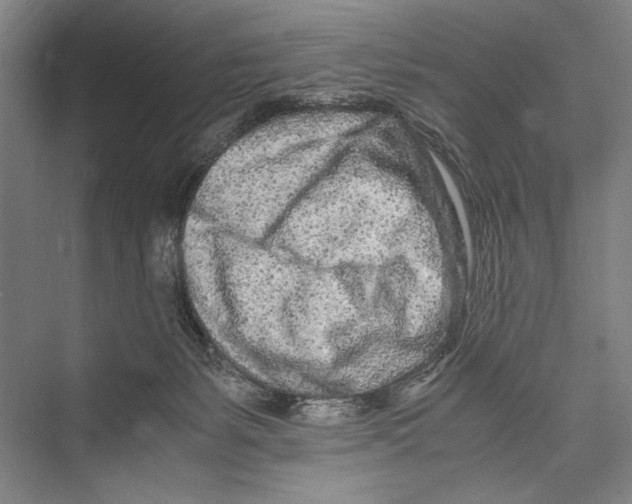 X0000075410127200610062007