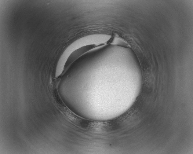 X0000075410131200610062007