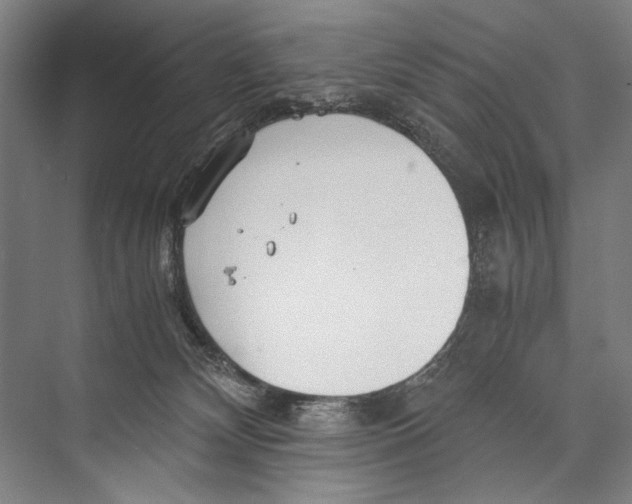 X0000075410132200610062007