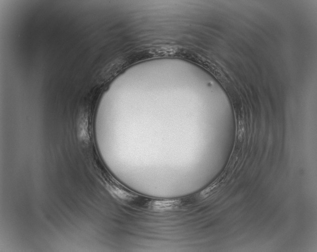 X0000075410134200610062007