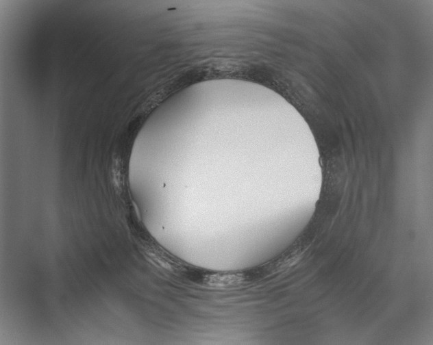 X0000075410135200610062007