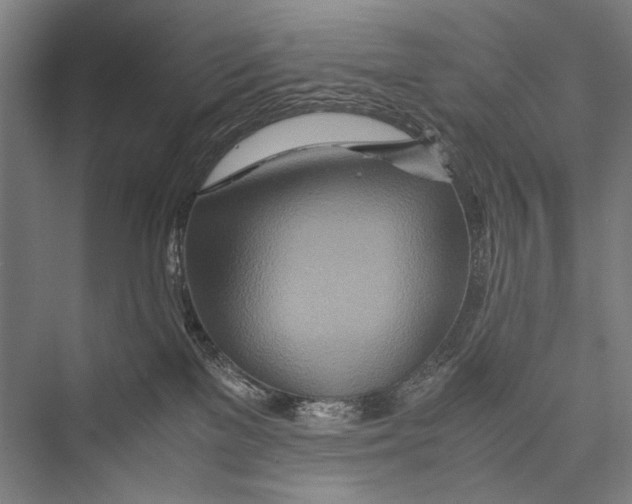 X0000075410137200610062007