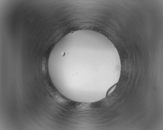 X0000075410138200610062007