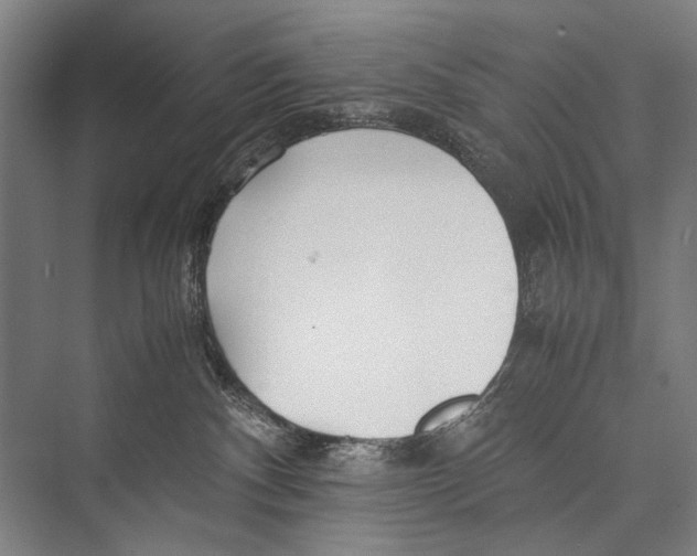 X0000075410140200610062007