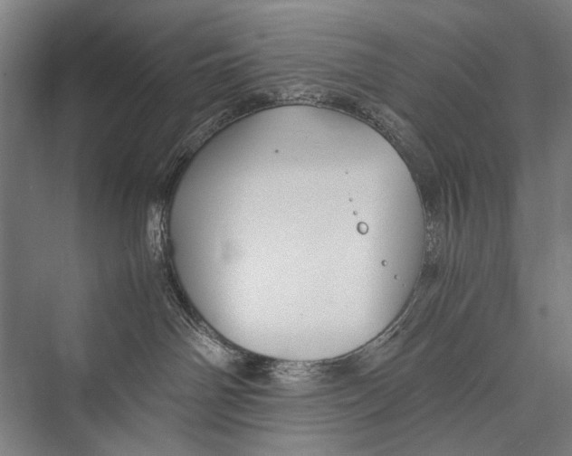 X0000075410142200610062007