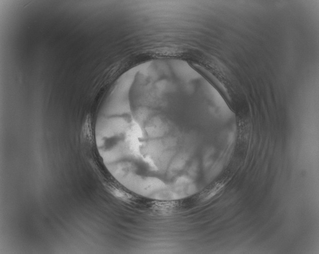 X0000075410143200610062007