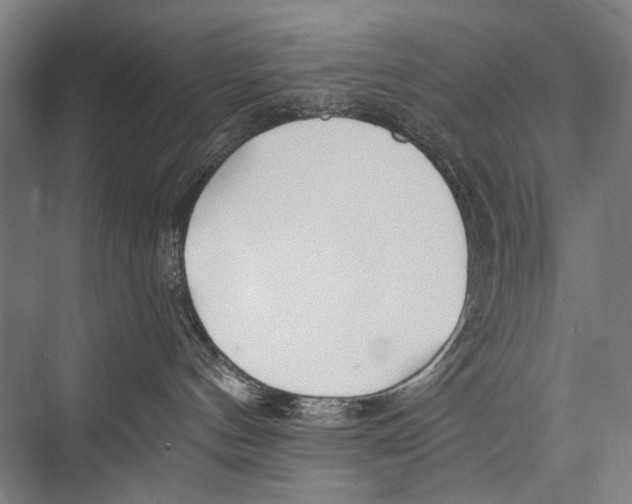 X0000075410144200610062007