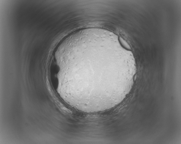 X0000075410145200610062006