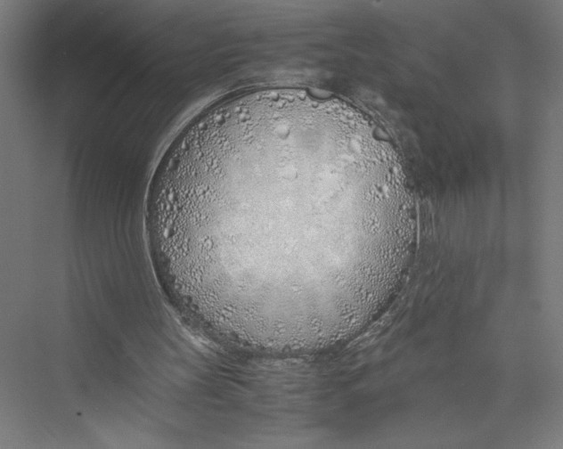 X0000075410147200610062006