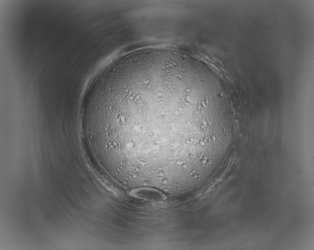 X0000075410149200610062006