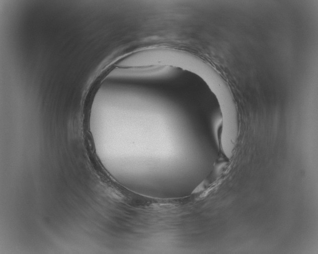 X0000075410150200610062006