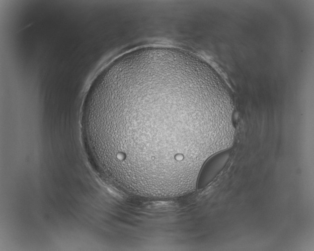 X0000075410151200610062006