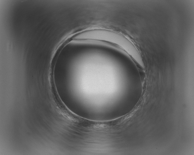 X0000075410152200610062006