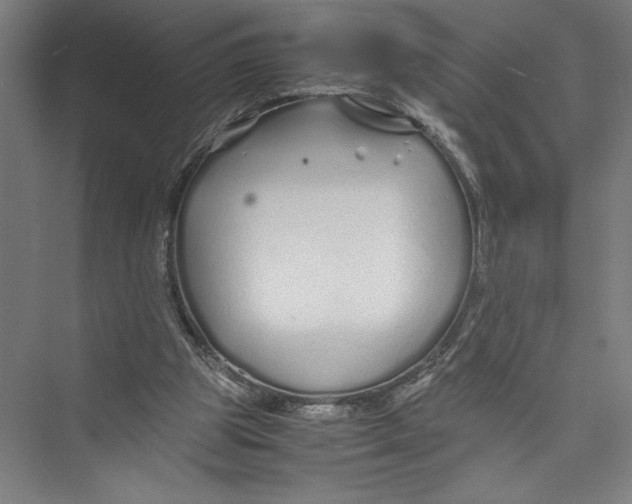 X0000075410153200610062006